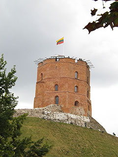 Svetainių talpinimas